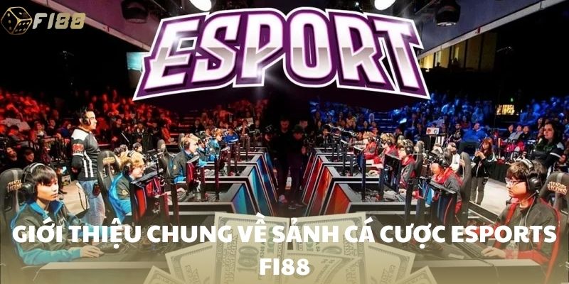 Giới thiệu chung về sảnh cá cược esports FI88