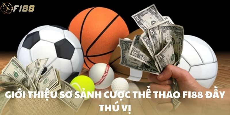 Giới thiệu sơ sảnh cược thể thao FI88 đầy thú vị